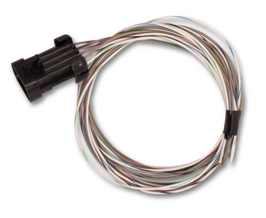 HOLLEY EFI Terminator X MAX | Suits 58T, EV6 Injectors, DBW throttle body