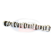 Texas Speed Magic Stick 4 | 239/242 Camshaft Package