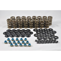 PAC Racing .660" Platinum Dual Valve Spring Kit