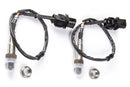 WB1 | Single Channel CAN O2 Wideband Controller Kit