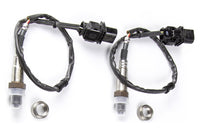 WB1 | Single Channel CAN O2 Wideband Controller Kit