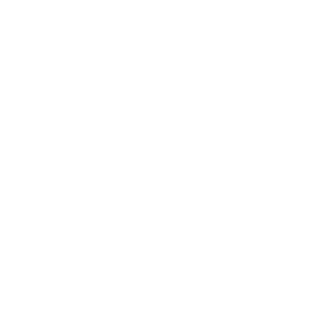 Zip Money