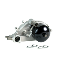 GM LS1 Water Pump