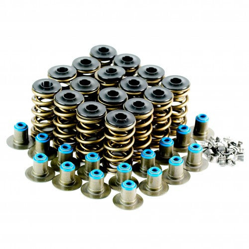 PAC Racing .650" Platinum Dual Valve Spring Kit